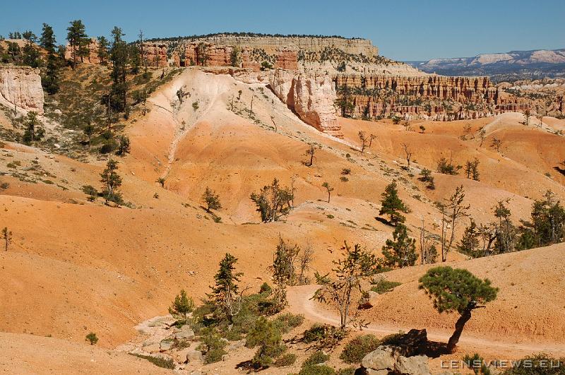 Bryce Canyon 07 